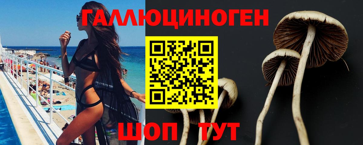 Псилоцибиновые грибы ЛСД  Вход с VPN  Майский 
